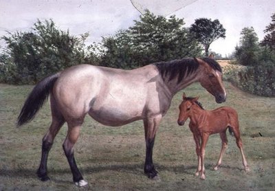 Studies of Animals by Stephen Briggs Carlil